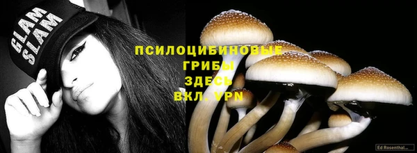 spice Семёнов