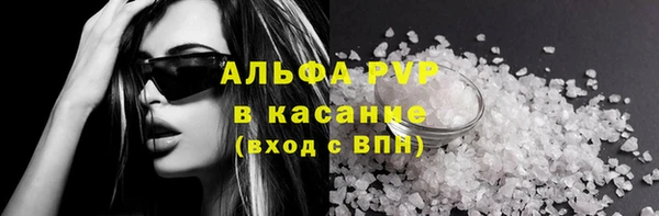 шишки Алзамай