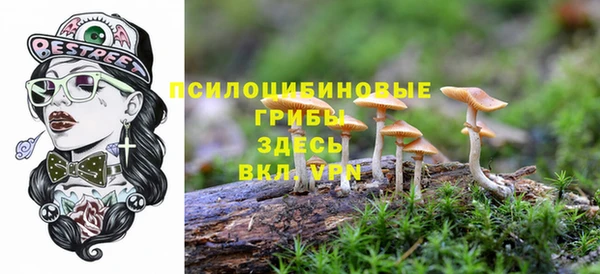 соль курить ск Алексин
