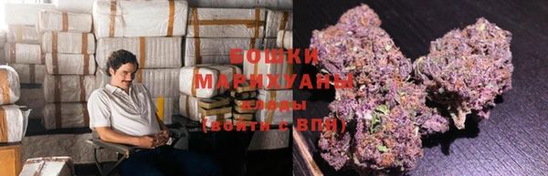 шишки Алзамай